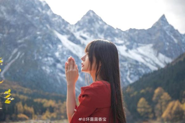 一定要看看香草喵露露下载的图包，里面的美图实在是太棒了